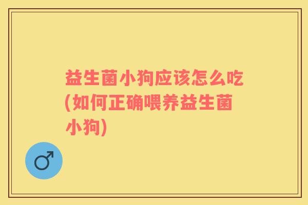 益生菌小狗应该怎么吃(如何正确喂养益生菌小狗)
