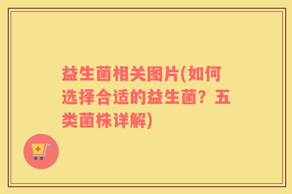 益生菌相关图片(如何选择合适的益生菌？五类菌株详解)