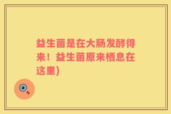 益生菌是在大肠发酵得来！益生菌原来栖息在这里)
