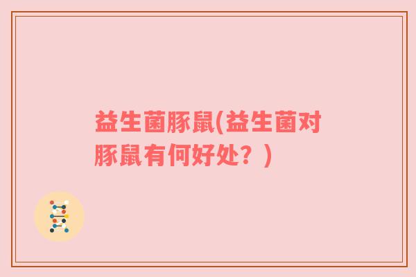 益生菌豚鼠(益生菌对豚鼠有何好处？)