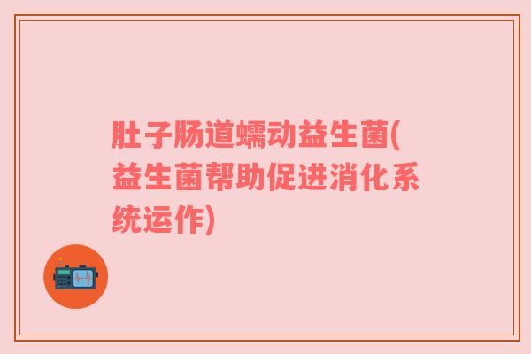 肚子肠道蠕动益生菌(益生菌帮助促进消化系统运作)