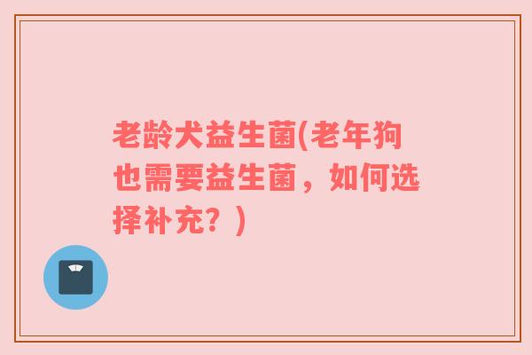 老龄犬益生菌(老年狗也需要益生菌，如何选择补充？)