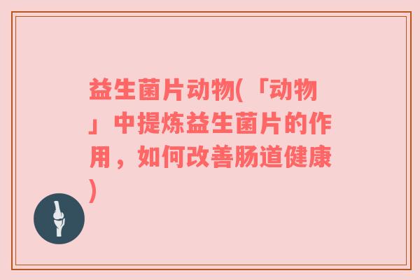 益生菌片动物(「动物」中提炼益生菌片的作用，如何改善肠道健康)