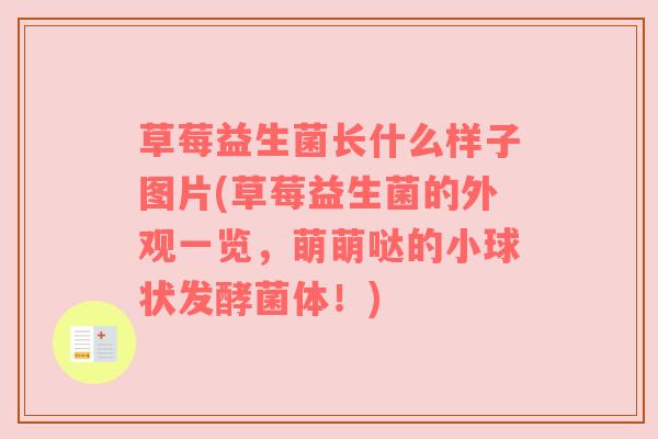草莓益生菌长什么样子图片(草莓益生菌的外观一览，萌萌哒的小球状发酵菌体！)