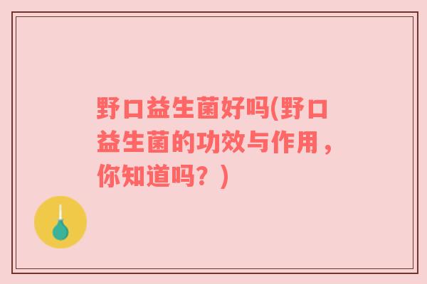 野口益生菌好吗(野口益生菌的功效与作用，你知道吗？)