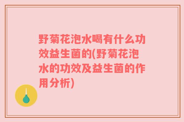 野菊花泡水喝有什么功效益生菌的(野菊花泡水的功效及益生菌的作用分析)
