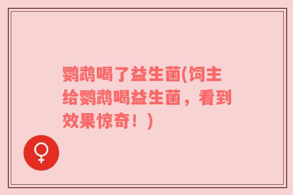 鹦鹉喝了益生菌(饲主给鹦鹉喝益生菌，看到效果惊奇！)