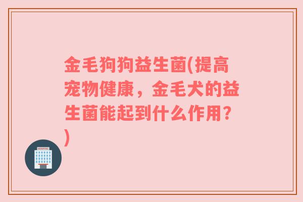 金毛狗狗益生菌(提高宠物健康，金毛犬的益生菌能起到什么作用？)