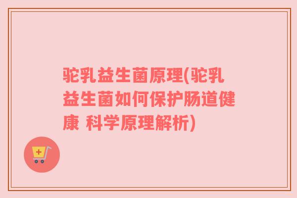 驼乳益生菌原理(驼乳益生菌如何保护肠道健康 科学原理解析)