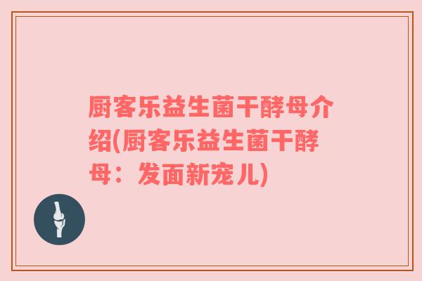厨客乐益生菌干酵母介绍(厨客乐益生菌干酵母：发面新宠儿)