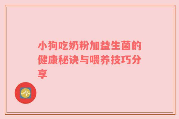 小狗吃奶粉加益生菌的健康秘诀与喂养技巧分享