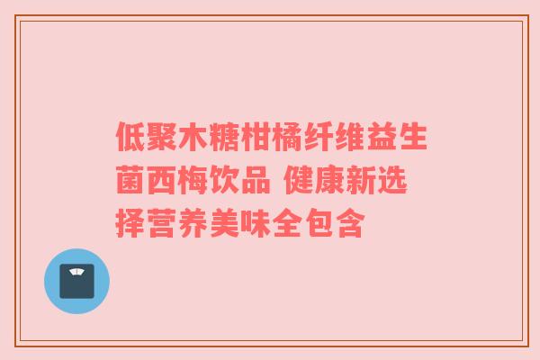 低聚木糖柑橘纤维益生菌西梅饮品 健康新选择营养美味全包含