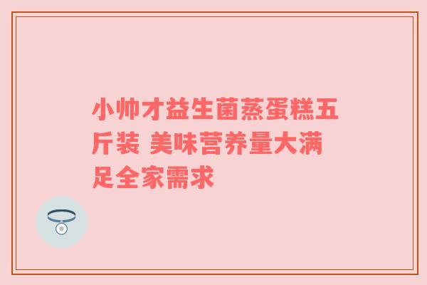 小帅才益生菌蒸蛋糕五斤装 美味营养量大满足全家需求