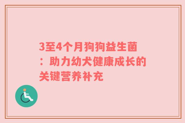 3至4个月狗狗益生菌：助力幼犬健康成长的关键营养补充