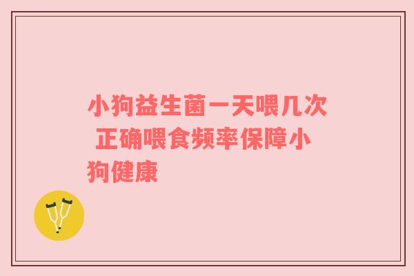 小狗益生菌一天喂几次 正确喂食频率保障小狗健康