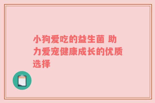 小狗爱吃的益生菌 助力爱宠健康成长的优质选择