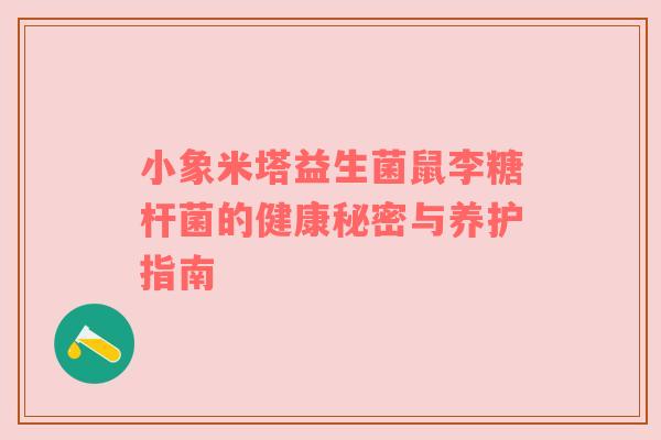 小象米塔益生菌鼠李糖杆菌的健康秘密与养护指南
