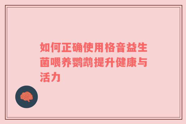 如何正确使用格音益生菌喂养鹦鹉提升健康与活力
