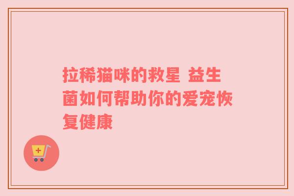 拉稀猫咪的救星 益生菌如何帮助你的爱宠恢复健康