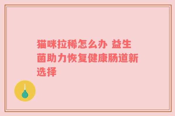 猫咪拉稀怎么办 益生菌助力恢复健康肠道新选择