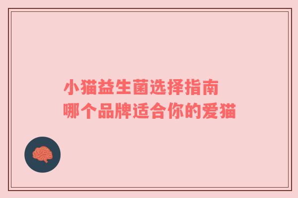 小猫益生菌选择指南 哪个品牌适合你的爱猫