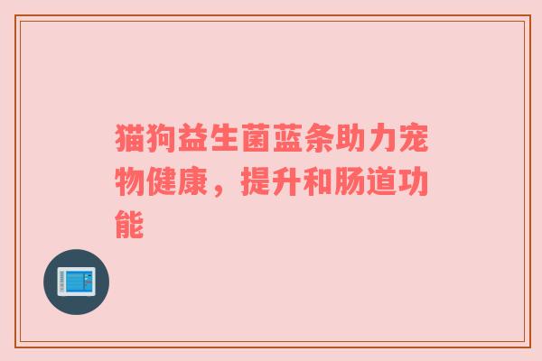 猫狗益生菌蓝条助力宠物健康，提升和肠道功能