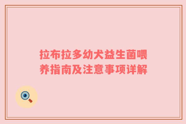 拉布拉多幼犬益生菌喂养指南及注意事项详解