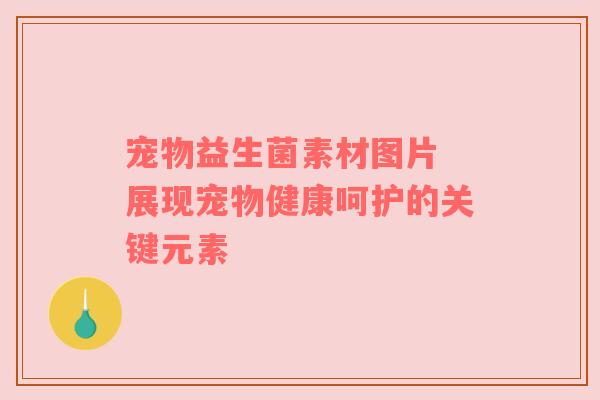 宠物益生菌素材图片 展现宠物健康呵护的关键元素