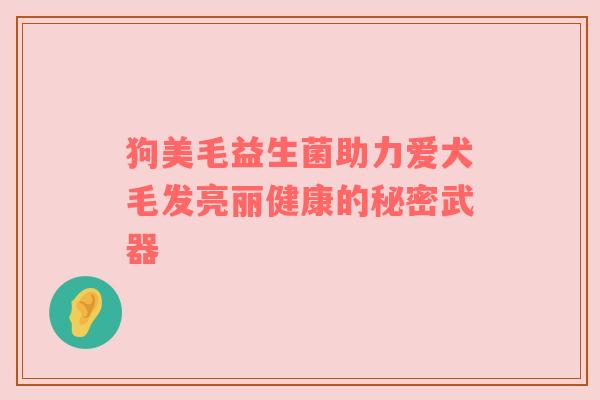 狗美毛益生菌助力爱犬毛发亮丽健康的秘密武器