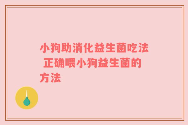 小狗助消化益生菌吃法 正确喂小狗益生菌的方法