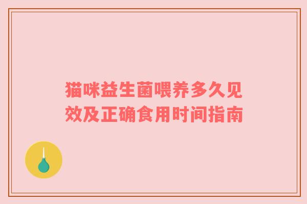 猫咪益生菌喂养多久见效及正确食用时间指南