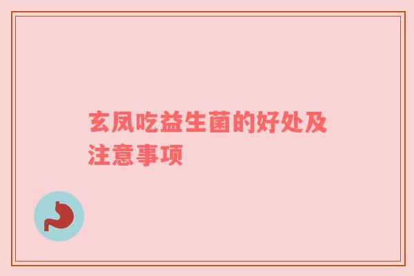 玄凤吃益生菌的好处及注意事项