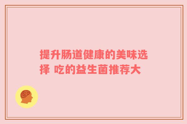 提升肠道健康的美味选择 吃的益生菌推荐大