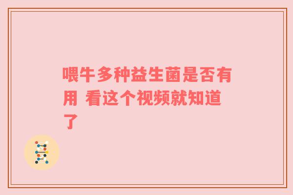 喂牛多种益生菌是否有用 看这个视频就知道了