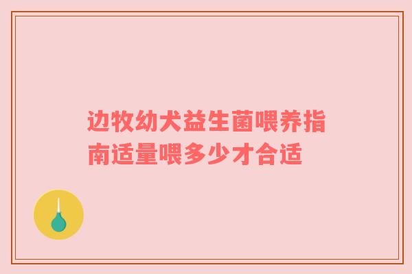 边牧幼犬益生菌喂养指南适量喂多少才合适