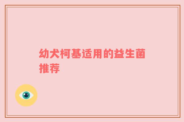 幼犬柯基适用的益生菌推荐