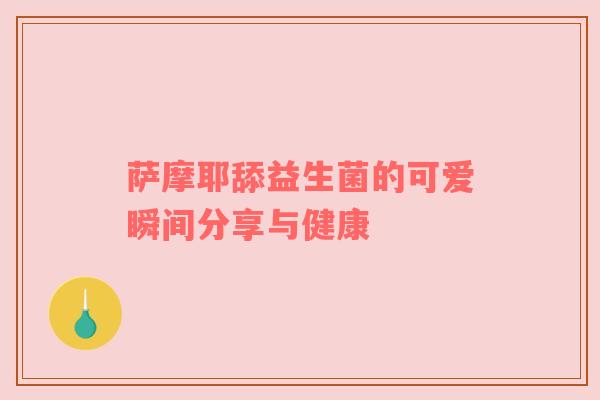 萨摩耶舔益生菌的可爱瞬间分享与健康