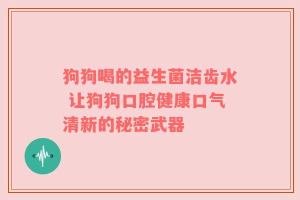 狗狗喝的益生菌洁齿水 让狗狗口腔健康口气清新的秘密武器