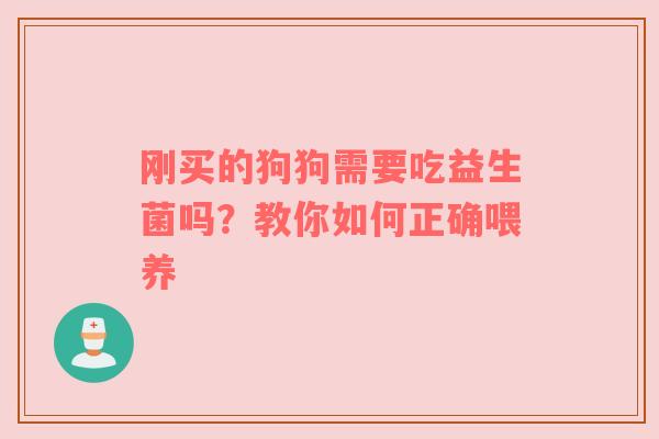 刚买的狗狗需要吃益生菌吗？教你如何正确喂养