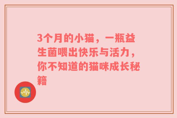 3个月的小猫，一瓶益生菌喂出快乐与活力，你不知道的猫咪成长秘籍