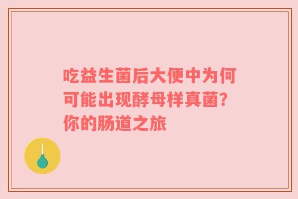 吃益生菌后大便中为何可能出现酵母样真菌？你的肠道之旅