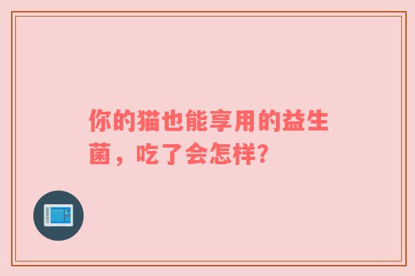 你的猫也能享用的益生菌，吃了会怎样？