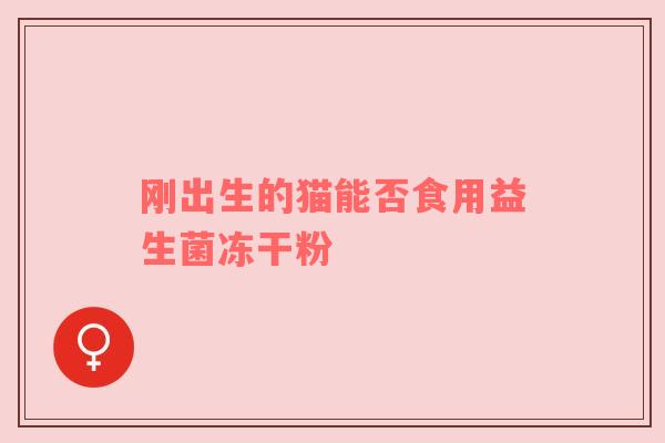 刚出生的猫能否食用益生菌冻干粉