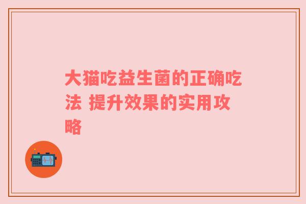 大猫吃益生菌的正确吃法 提升效果的实用攻略