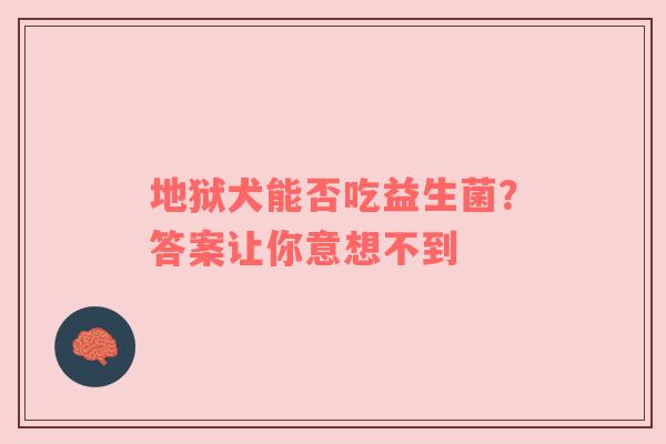 地狱犬能否吃益生菌？答案让你意想不到