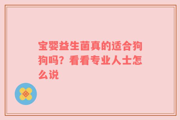 宝婴益生菌真的适合狗狗吗？看看专业人士怎么说