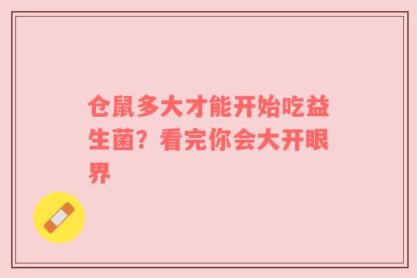 仓鼠多大才能开始吃益生菌？看完你会大开眼界