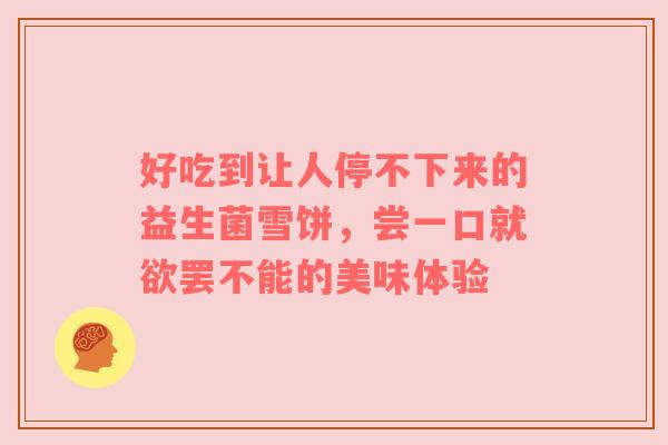 好吃到让人停不下来的益生菌雪饼，尝一口就欲罢不能的美味体验