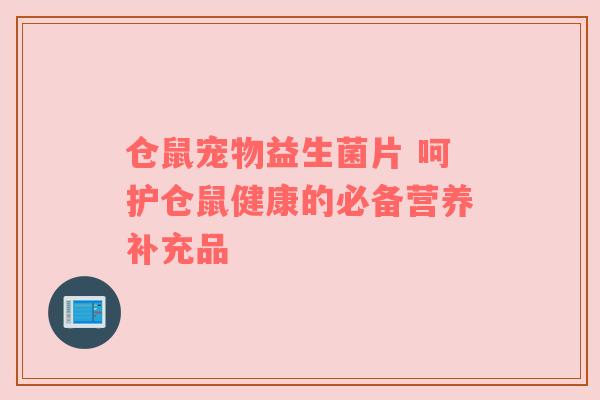 仓鼠宠物益生菌片 呵护仓鼠健康的必备营养补充品