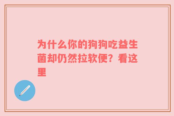 为什么你的狗狗吃益生菌却仍然拉软便？看这里